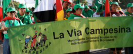 June 17 on FM: South Asian immigrants / June Jordan / women of La Via Campesina